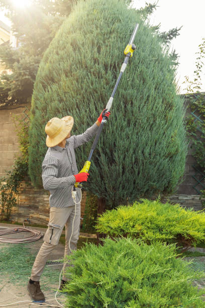 Lawn Pest Prevention in Streator, IL